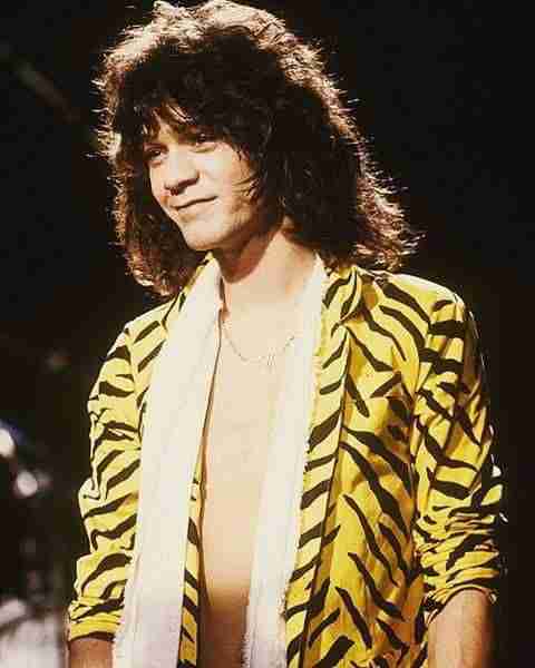Eddie Van Halen Tiger jacket - Image 2