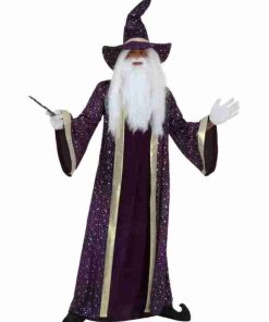 Halloween Adult Purple Wizard Costume